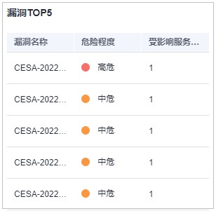 圖5-4 漏洞TOP5.jpg